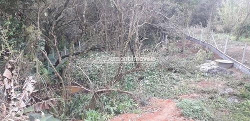 Imagem 7 de 8 de Lindo Lote Numa Região Arborizada! Bairro Paruru. Cod 392