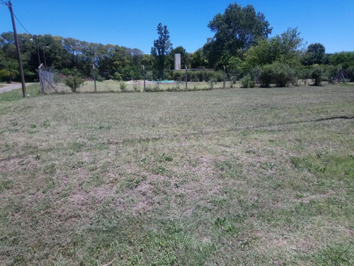 Imagen 12 de 13 de Terreno - Loma Verde