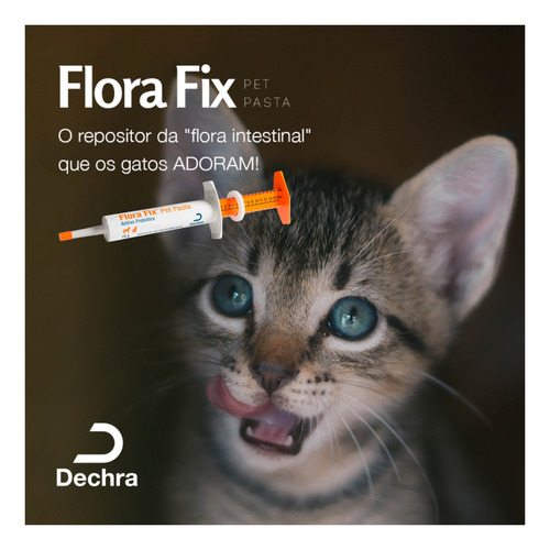 Flora Fix Pet Pasta Probiótico E Prebiótico 15g Cães E Gatos