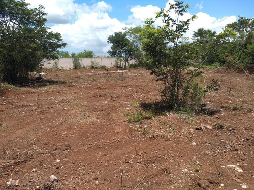 Imagen 5 de 18 de Terreno - Pueblo Cholul