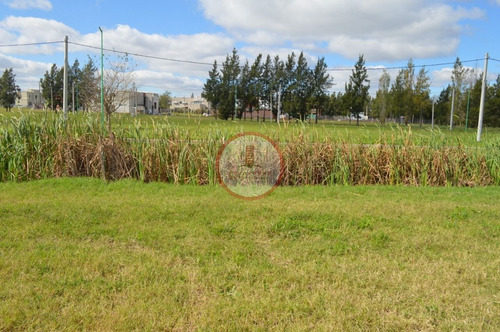 Imagen 4 de 10 de Terreno Lote En Venta Ubicado En Joaquín Gorina, La Plata