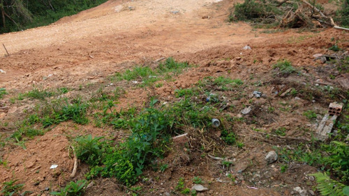 Imagem 13 de 15 de Terreno Em Condomínio Para Venda Em Curitiba, Santa Cândida - 344_2-1090205