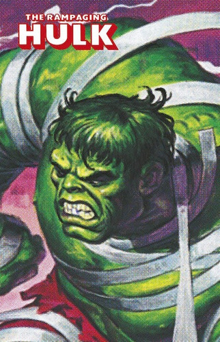The Rampaging Hulk (marvel Limited Edition) - Jim Starlin