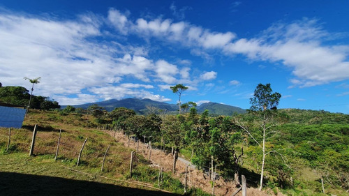 Imagen 2 de 9 de Finca De 31 Hectáreas