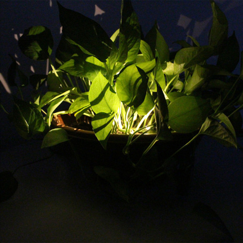 Maceta Decorativa Con Luces Led Solares Para Jardín