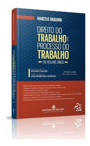 Direito Do Trabalho E Processo Do Trabalho - 2ª Edição