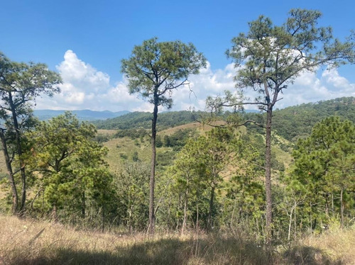 Terreno En Venta En Ex Hacienda San Lucas Del Pulque.
