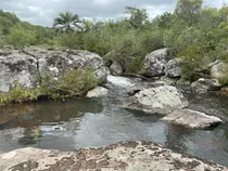 Comprar 7 Chacras De 5 Has Cada Una A 20 Km De Aigua Por Ruta 39 - Consulte !!!!!