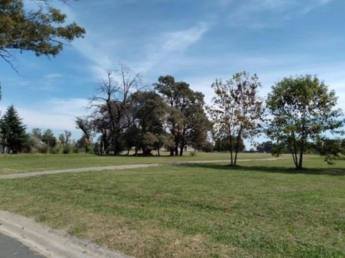 Imagen 8 de 11 de Lote En Venta - Lomas Athletic Club