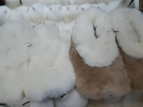 comprar Pantuflas O Babuchas Todo Piel 100% Alpaca 