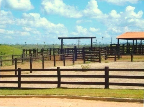 Imagem 14 de 27 de Fazenda 29.752 Alqueires, Rica Em Água Com Represa E Lagos, Triplo Aptidão, 20 Mil Alqueires Em Pastagens, Casa Sede Duplex, Pista De Pouso Asfaltada - Fa00131 - 70272151