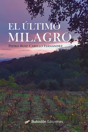 El Ãâltimo Milagro, De Ruiz-cabello Fernández, Pedro. Editorial Bohodon Ediciones S.l., Tapa Blanda En Español