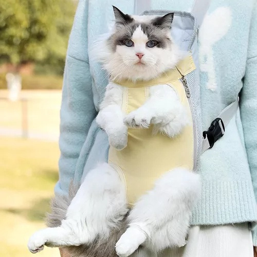 M Bolso Portátil Con Mochila Transpirable Para Mascotas