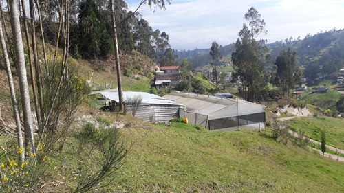 For Sale Peaceful Property & Home In The High Mountains Of Cuenca