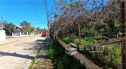 Imagen 9 de 28 de Sitio En Venta En Olmué