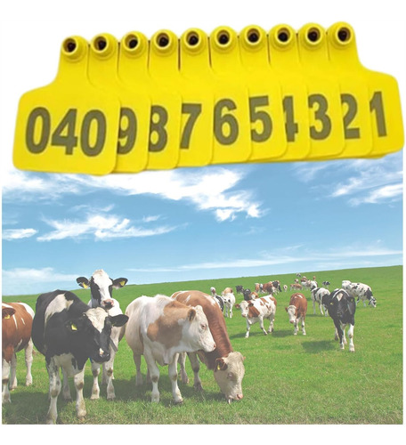 001-100 Aretes Para Cerdo Ganado Numeros Láser Con Pinza