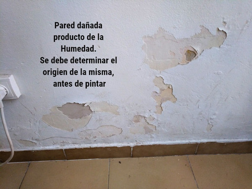 Imagen 4 de 6 de Maestro Pintor Interiores/exteriores. Reparaciones Menores.
