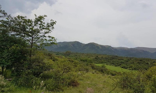 Imagen 14 de 20 de Chacra En Venta, Villa Giardino, Córdoba.