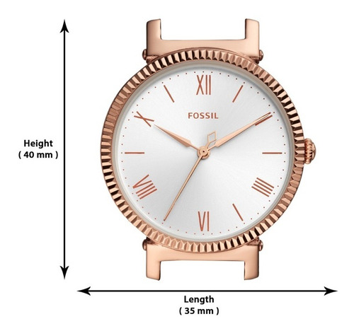 Imagen 8 de 10 de Reloj Mujerfossil Daisy 3 Hand De Piel
