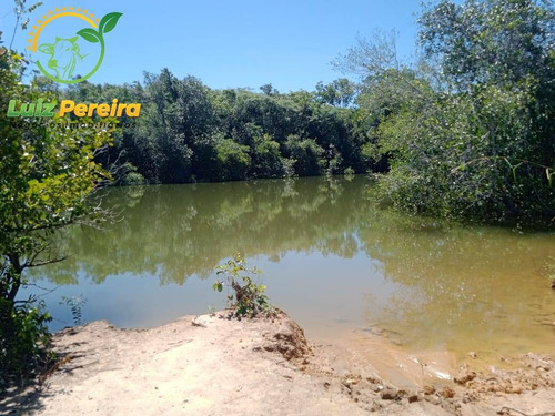 Imagem 3 de 9 de Fazenda À Venda Em Natividade - To- De 210 Alqueirões (pecuária) - 1743