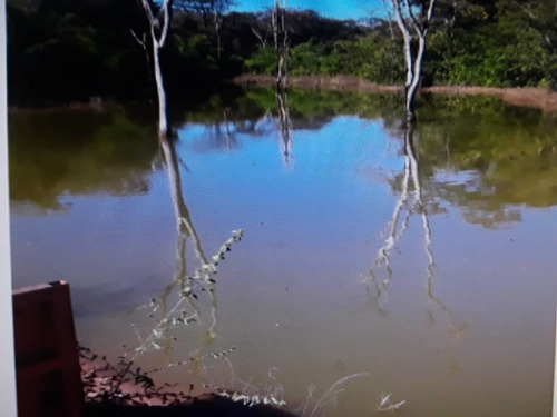 Imagen 2 de 14 de En Venta Finca En San Carlos, Cojedes