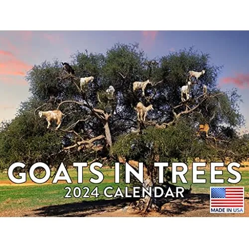 Calendario Goats In Trees 2024. Envío gratis