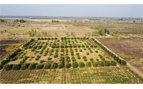 Finca De 54 Has Y 3800 M2 Has En 3 De Mayo Lavalle