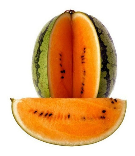 Sementes Melancia Laranja Gigante Tendersweet Watermelon