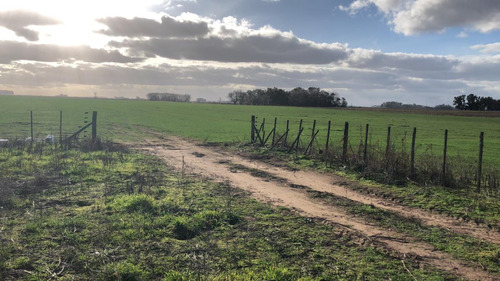 Campo Mixto De 59 Ha, Sobre Ruta 205