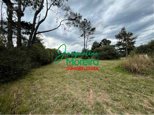 Terrenos Venta - T101184