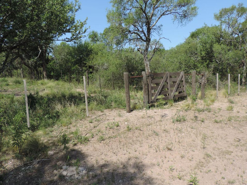 Oportunidad !!! Campo Productivo, Cría Y Siembra - 65 Has En San Pedro, Cba.