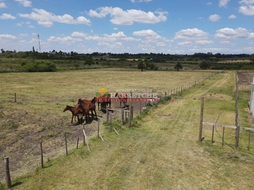 Campo En Venta, 22 Has, Harás Boutique, Hermoso Casco