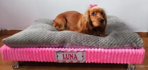 Mini colchon online para perro