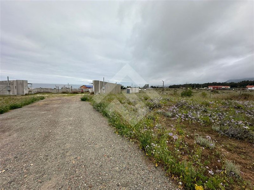 Sitio Con 2 Cabañas Alajadas, En Venta En Guanaqueros