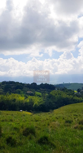 Calima, Jiguales, 40 Plazas, Venta. Restrepo.