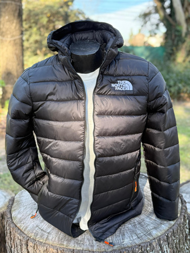 Campera Térmica Liviana Tnf
