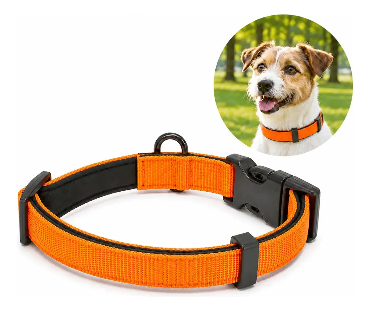 Collar Para Perro Acolchonado Broche Ajustable Mr Wuff Naranja Collar Para Perro L