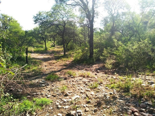 Imagen 10 de 11 de Vendo Lotes De 3.300 M² Cerca De Los Sauces, San Marcos Sierras- Oportunidad
