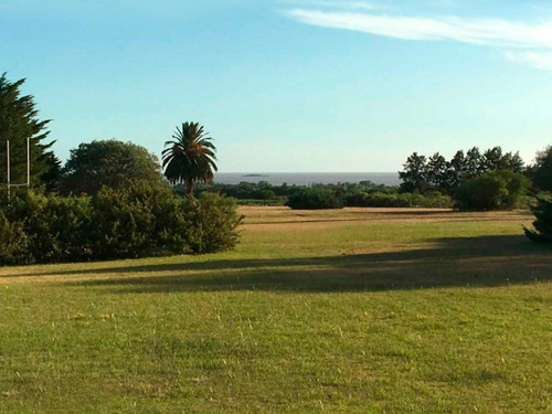 Quinta En Venta En Colonia Ref. 6684