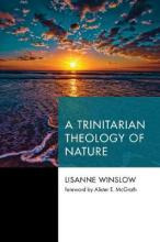 Libro A Trinitarian Theology Of Nature - Lisanne Winslow