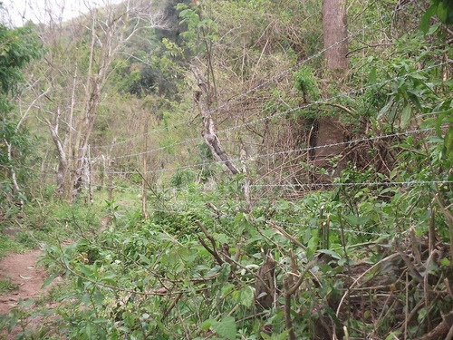Imagem 2 de 3 de Terreno - Centro - Ref: 137843 - V-137843