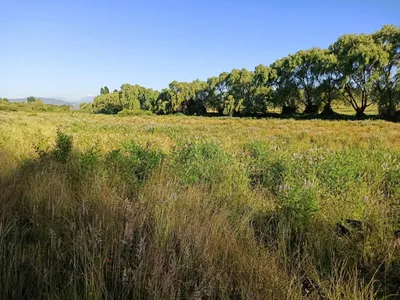 Agrícola en venta