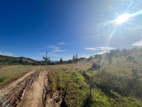 Terreno En Arriendo Con Alto Potencial Multipropósito