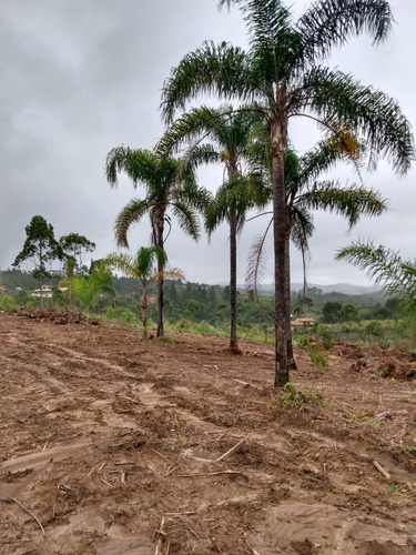Imagem 14 de 30 de 01- Terrenos Com Aguá E Demarcados Com Moradores Já Construindo No Local !