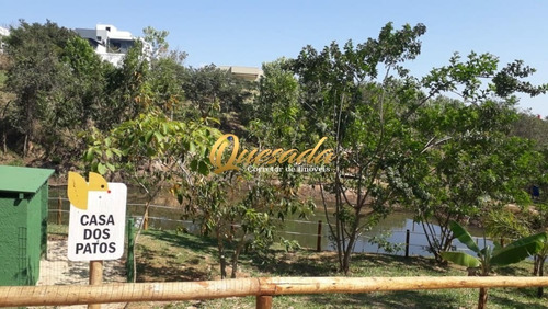 Imagem 18 de 19 de Terreno - Te00253 - 69578378