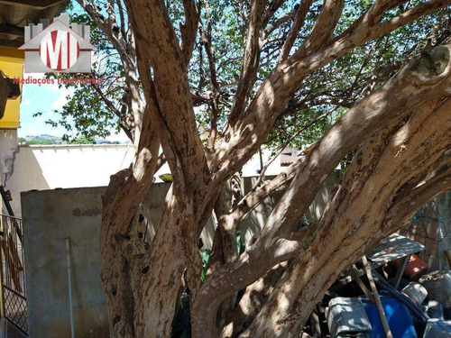 Imagem 21 de 24 de Excelente Chácara Com 03 Dormitórios, Edícula, Piscina, Pomar, À Venda, 380 M² Por R$ 235.000 - Rural - Socorro/sp - Ch0811
