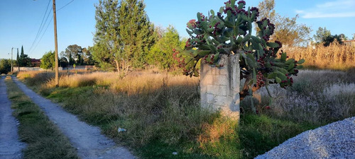 Imagen 4 de 8 de Terreno - La Loma Xicotencatl