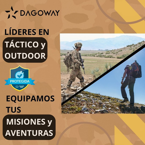 Piocha Asalto Aéreo Ejército