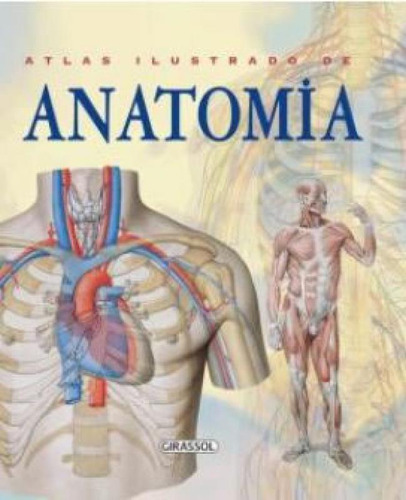 Atlas Ilustrado De Anatomia: Atlas Ilustrado De Anatomia, De Rigutti, Adriana. Editorial Girassol, Capa Mole, Edição 2024-01-01 00:00:00 Em Espanhol