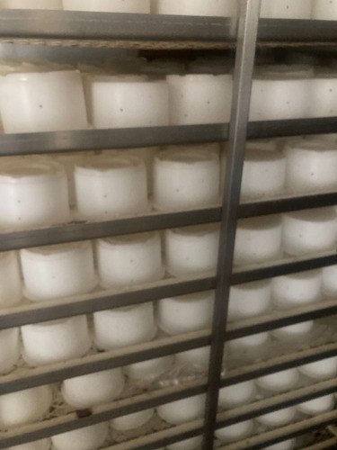 Molde Para Queso Fresco O Maduro 0.5 Kg C/ Tapa Para Prensa (Usado)